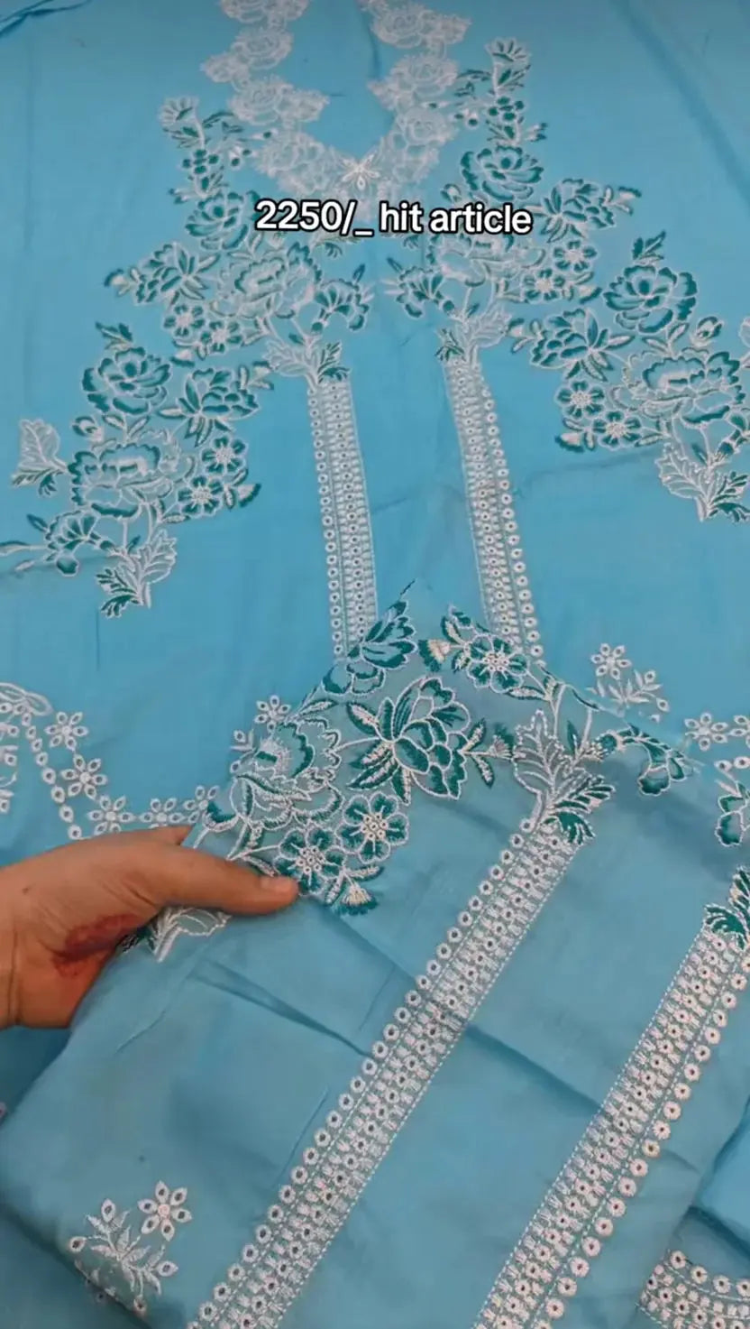 Beautiful embroidered two piece article sky45 My Store