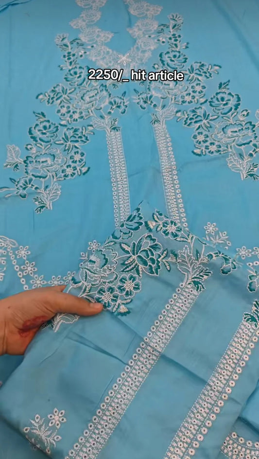Beautiful embroidered two piece article sky45